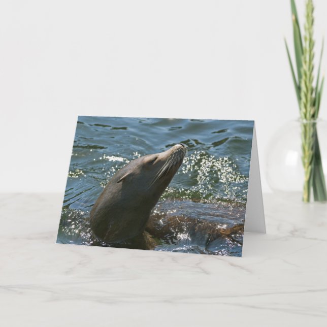 Sea Lion Greeting Card (Front)