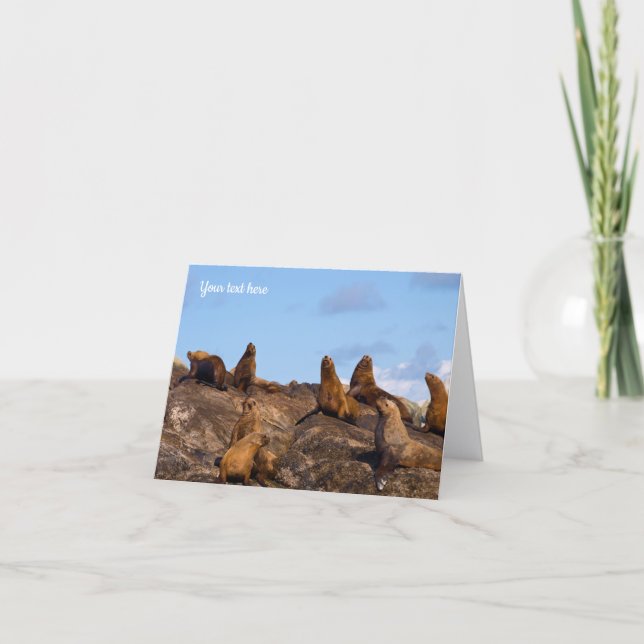 Sea lion Greeting card (Front)