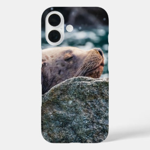 Sea Lion In Resurrection Bay, Alaska iPhone 16 Case
