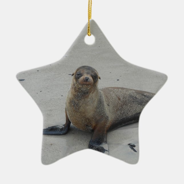 Sea Lion in the Galapagos Islands!! Ceramic Tree Decoration (Front)