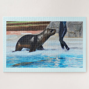 Sea lion jigsaw puzzle