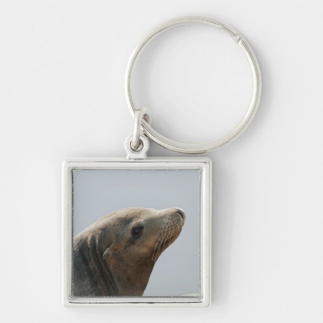 Sea Lion Key Ring (Front)