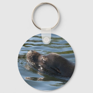 Sea Lion Key Ring
