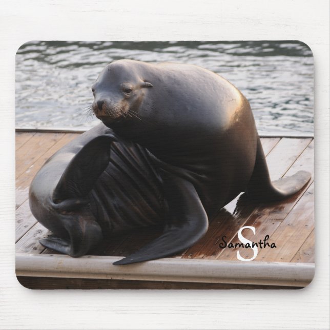 Sea Lion mouse mat (Front)