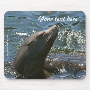 Sea Lion Mousepad