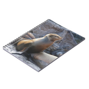 Sea Lion Notebook