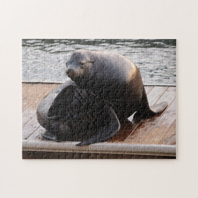 Sea Lion, Pier 39, San Francisco Jigsaw puzzle (Horizontal)