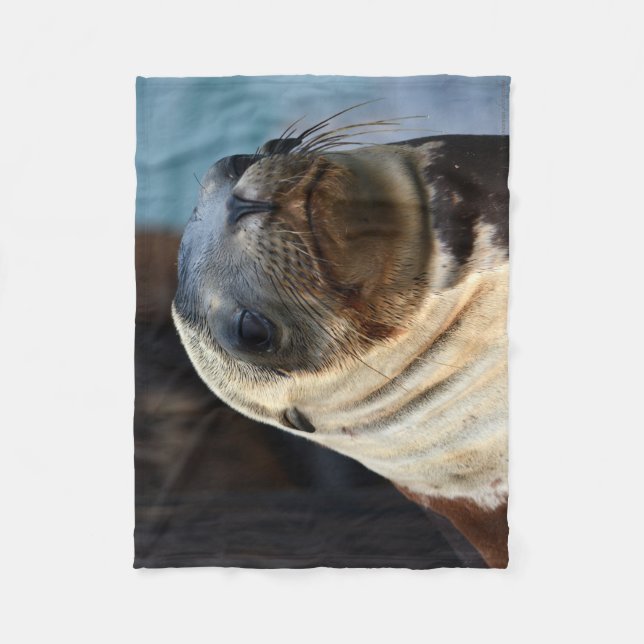 Sea Lion Portrait Fleece Blanket (Front)