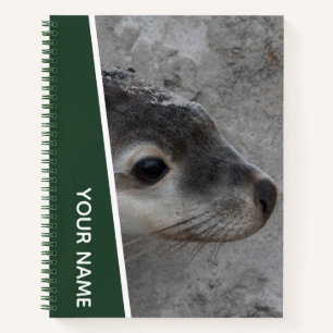 Sea Lion Pup Baby Face Closeup Australia, Green Notebook