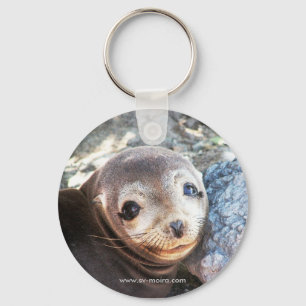 Sea lion pup, Isla Las Plazas, Galapagos Key Ring