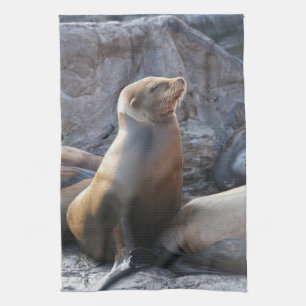 Sea Lion Tea Towel