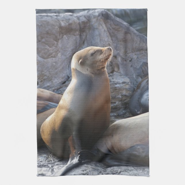 Sea Lion Tea Towel (Vertical)