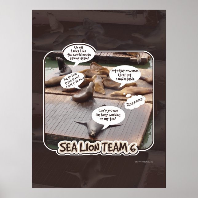 Sea Lion Team Six Poster (Front)