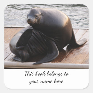 Sea Lion "This book belongs to" sticker