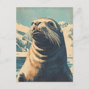 Sea Lion vintage  Postcard
