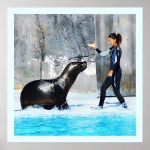 Sea lion with trainer poster
