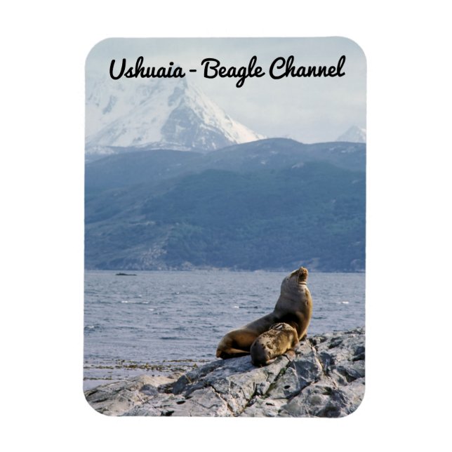 Sea lions in beagle channel - Argentina Magnet (Vertical)