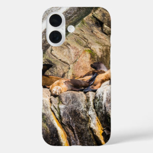Sea Lions Laying On The Rocks iPhone 16 Case