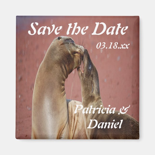 Sea Lions Magnet (Front)