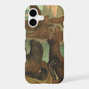 Sea Lions on the Beach, Vintage Marine Life Animal