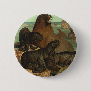Sea Lions on the Beach, Vintage Marine Life Animal 6 Cm Round Badge