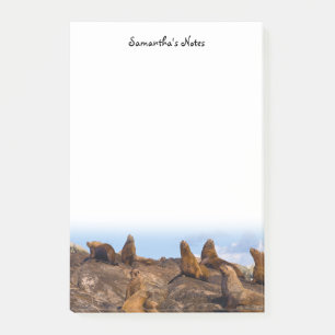 Sea Lions Post-It Notes