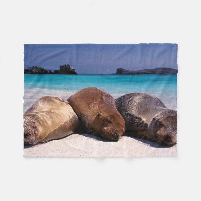 Sea Lions Sleeping On Beach | Ecuador Fleece Blanket (Front (Horizontal))
