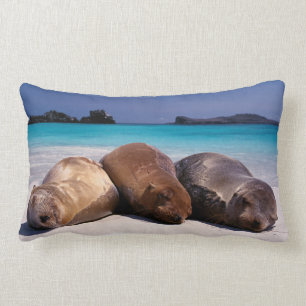 Sea Lions Sleeping On Beach   Ecuador Lumbar Cushion