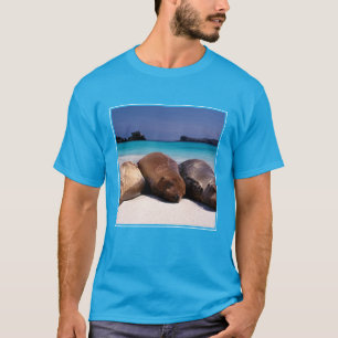 Sea Lions Sleeping On Beach   Ecuador T-Shirt