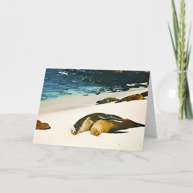 Sea Lions Spooning Card (Front)