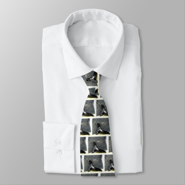 Sea Lions Tie (Tied)