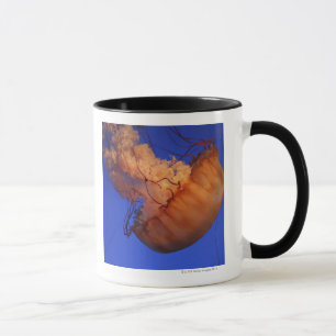 Sea nettle jellyfish mug