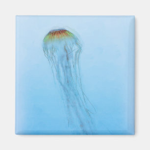 Sea Nettle Magnet