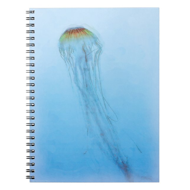 Sea Nettle Spiral Notebook (Front)