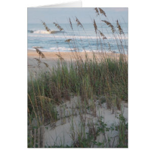 Sea Oats