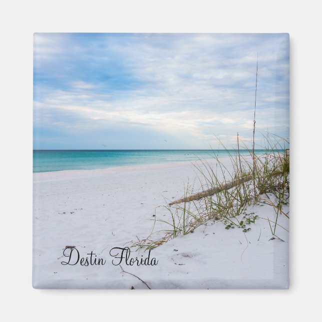 Sea Oats And White Sand Beach Morning Magnet (Front)