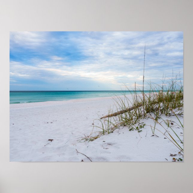 Sea Oats And White Sand Beach Morning Poster (Front)