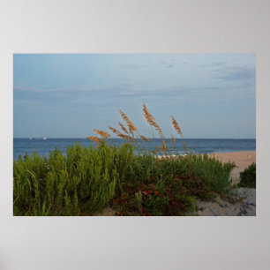 Sea Oats at Dusk Poster