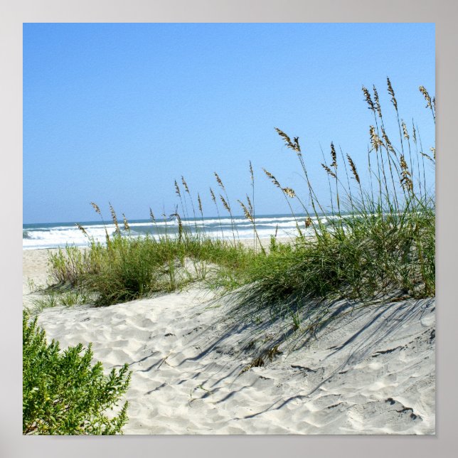 Sea Oats at Ocracoke Poster (Front)