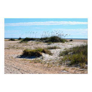 Sea Oats at the ocean beach  Photo Print