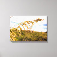 Sea Oats