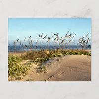 Sea Oats & Dunes