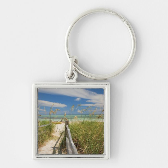 Sea oats Uniola paniculata) growing by beach, Key Ring (Front)