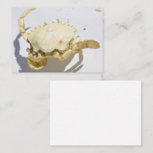 Sea Ocean Crab Shell Creature Enclosure Card