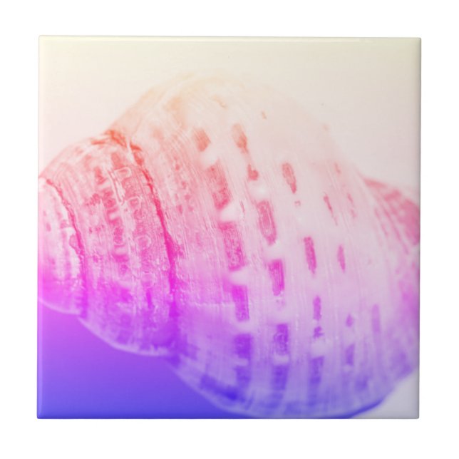 Sea Ocean Shell texture structure details Tile (Front)