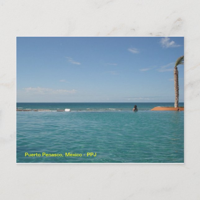 Sea of Cortez Postcard (Front)