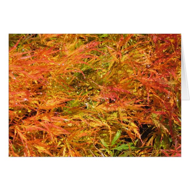Sea of Fall Colour (Front Horizontal)