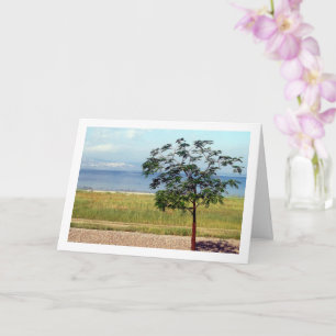 Sea of Galilee, Israeli Landscape Card