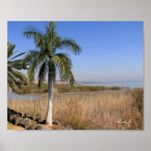 Sea of Galillee Israel Canvas Print