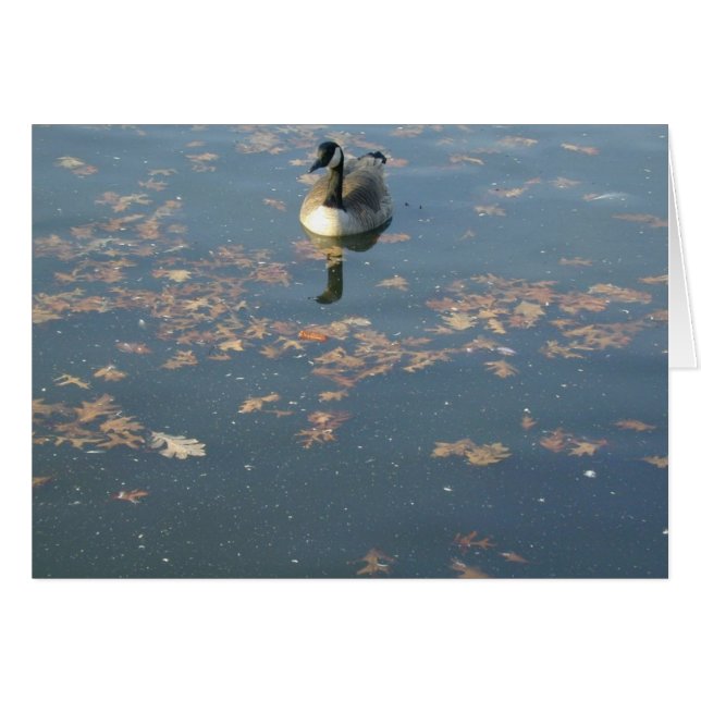 Sea of Leaves card (Front Horizontal)